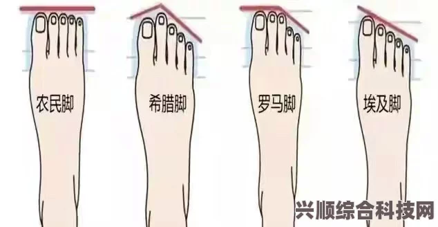 淘宝每日一猜揭秘，爸妈脚型背后的故事与秘密
