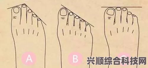 淘宝每日一猜，探索爸妈的脚型秘密