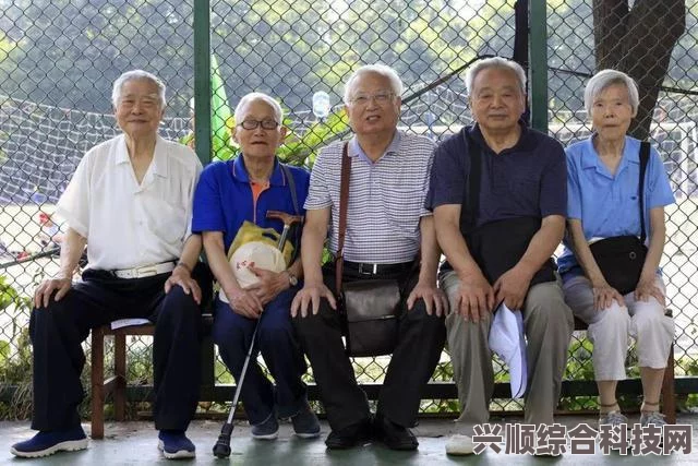 火山的女儿新结局揭秘，泽与哈克特的命运交汇