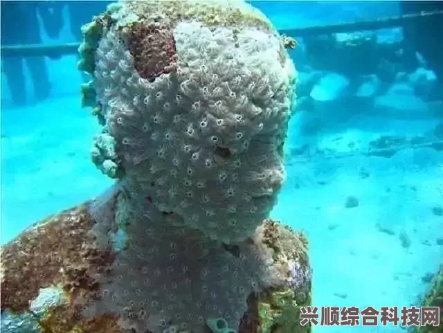 火山的女儿水母梗，揭秘神秘的头梗传说