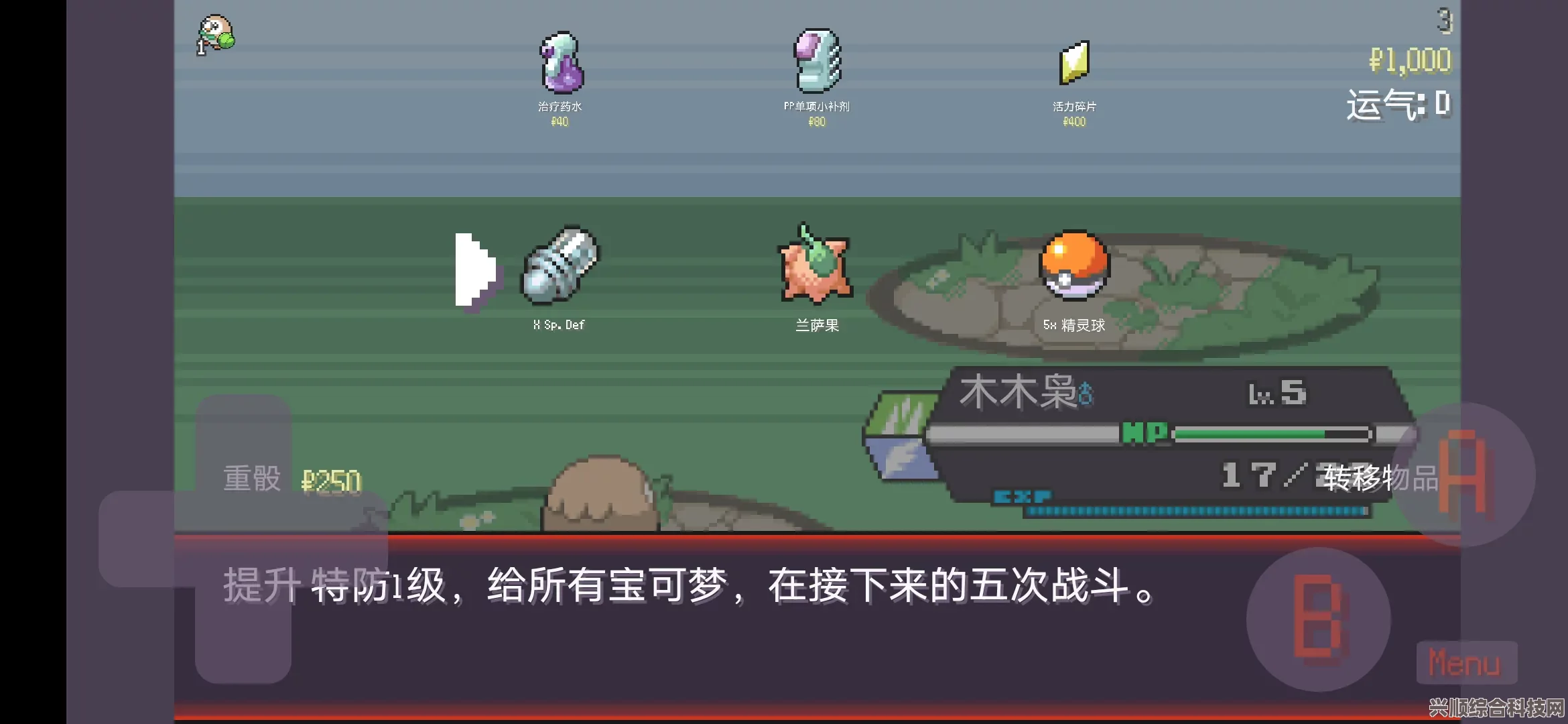 宝可梦新纪元地平线第9集，精彩在线观看与深度问答解析