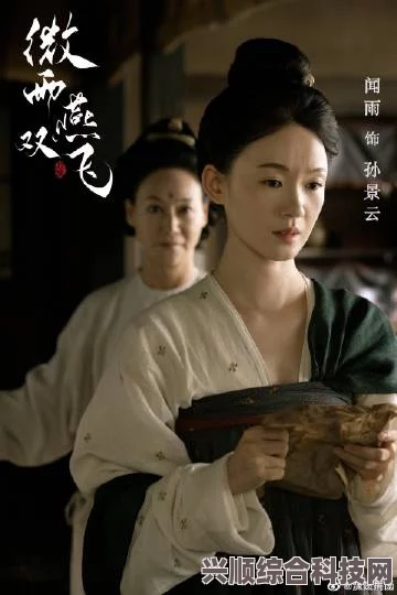 于正新剧微雨燕双飞双女主设定深度解析及剧情介绍