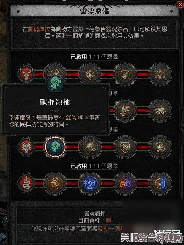 暗黑破坏神4德鲁伊熊狼戒指搭配指南与BD推荐攻略