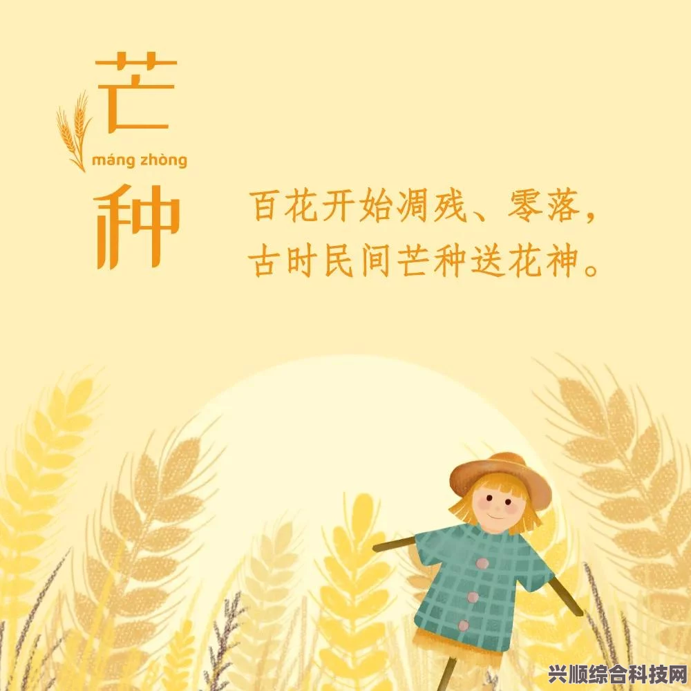 2023芒种时节，收获与播种的交响乐章