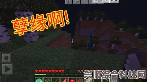魂之追梦全生活技能概览