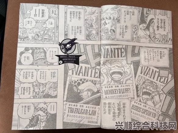 海贼王休刊事件深度解析与探讨