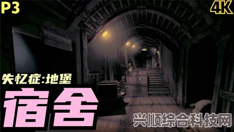揭秘失忆症，地堡剧情之谜，深入解析游戏故事线