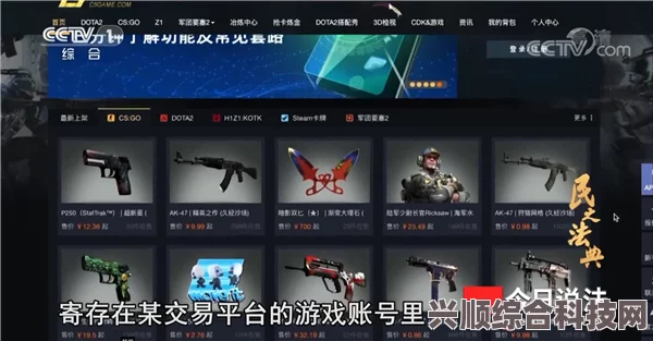 Steam游戏购买平台详解，选择、购买与常见问题解答