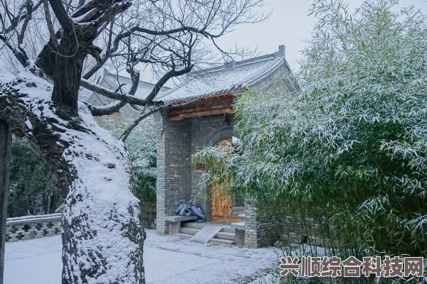 桃源深处有人家，布局攻略与桃花规划探索
