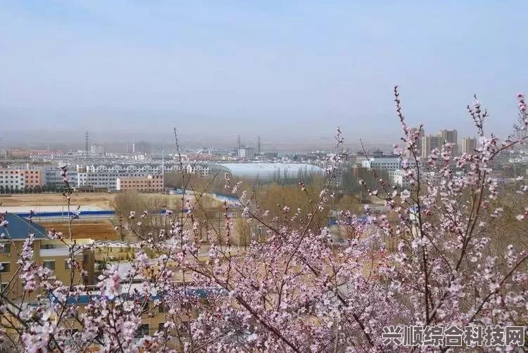 桃源深处有人家，水云禅心的布局攻略与山寺桃花的细致规划