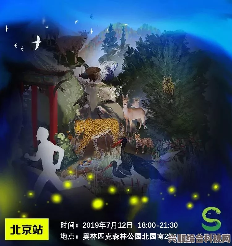 重返未来1999，荒原主题套装深度解析与雾的故乡套装的细致介绍