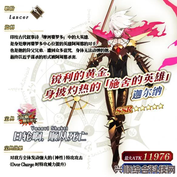 FGO生放送剪影分析，卫星从者一览