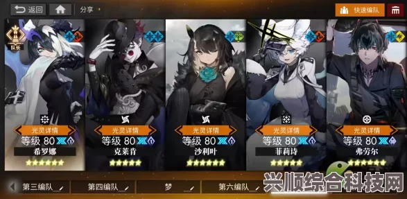 白夜极光，雷队阵容搭配指南与推荐