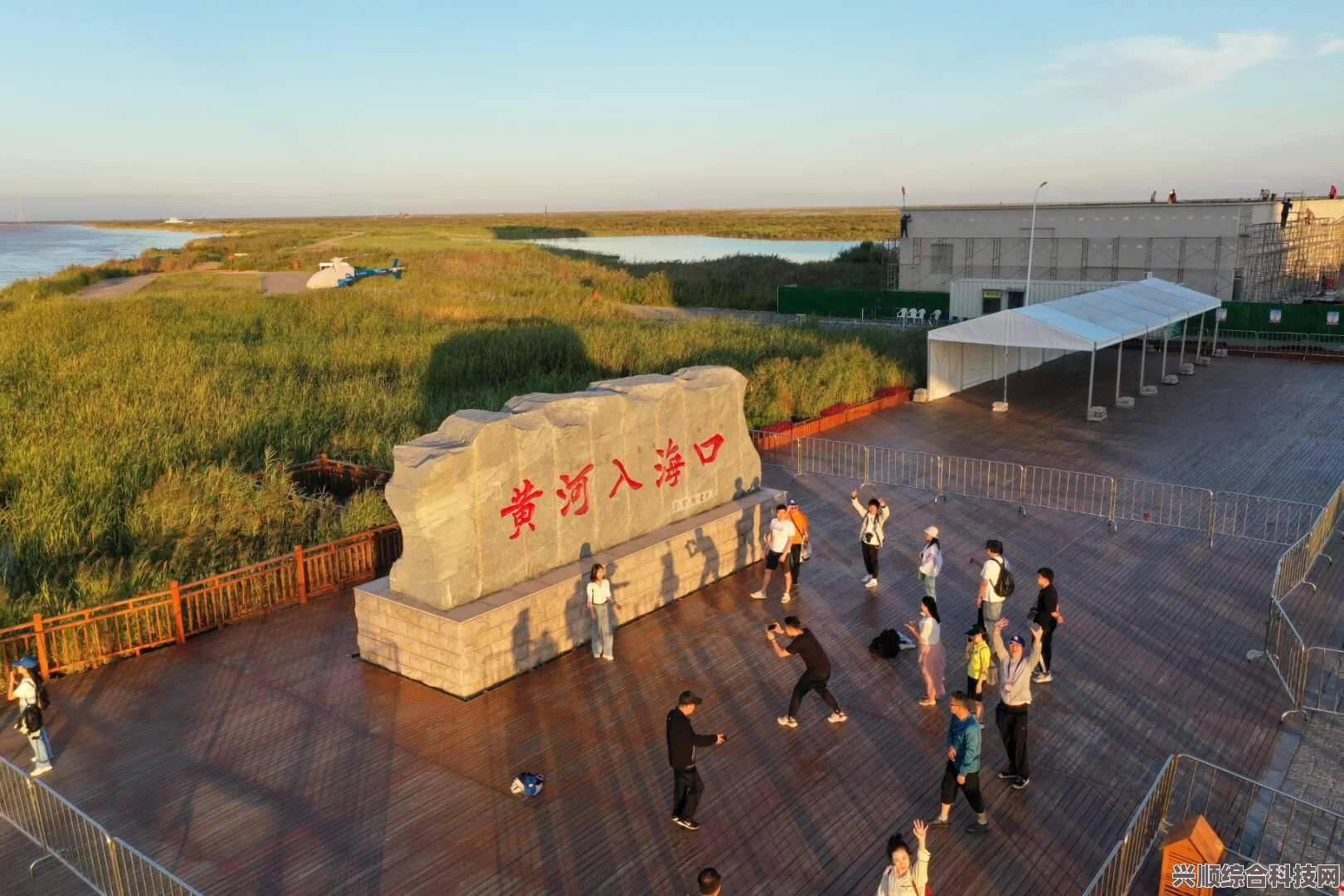 羊了个羊6月16日攻略，轻松应对每日挑战