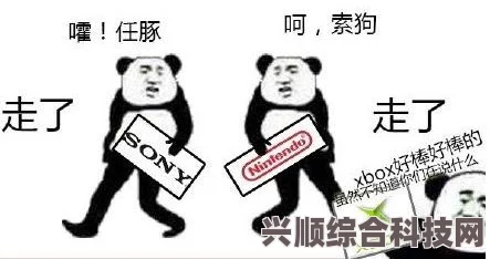 原神无法登录问题的补偿措施与解决方案