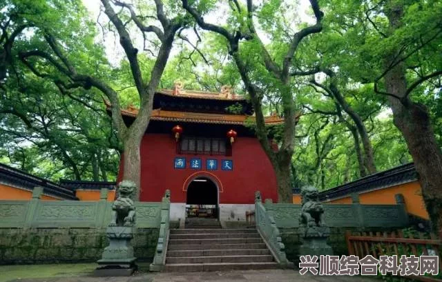 桃源深处萝山寺，禅缘提升与游玩技巧深度解析