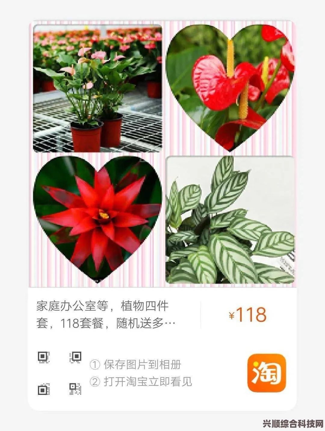 淘宝每日一猜揭秘，花卉设计元素在6.18 MEDM设计中的独特魅力与风采