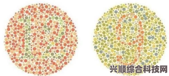 解决蓝色协议提示503错误代码的方法大全