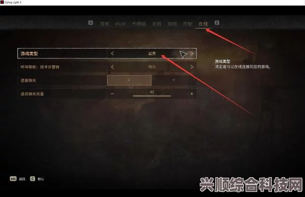 游侠对战平台消逝的光芒联机方法指南