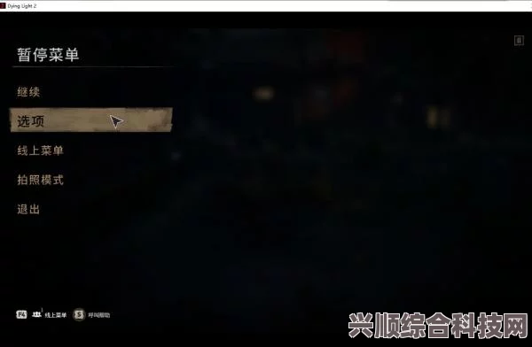 游侠对战平台消逝的光芒联机方法指南
