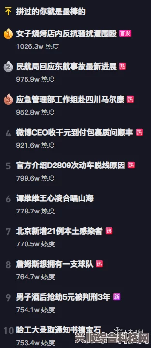 抖音热搜榜深度解析与热点聚焦，6月19日回顾分析