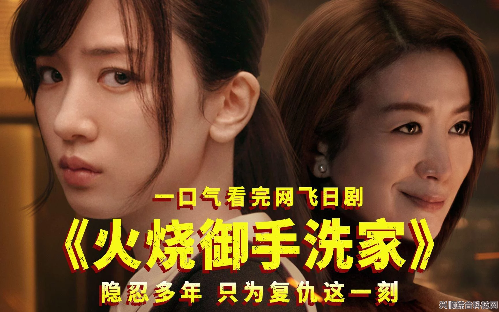 火烧御手洗家的网剧改编，深度解析与漫改介绍