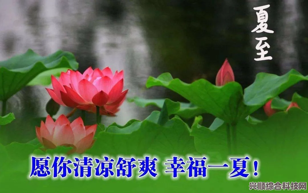 夏至文案最新2023，夏至祝福语与夏日情怀