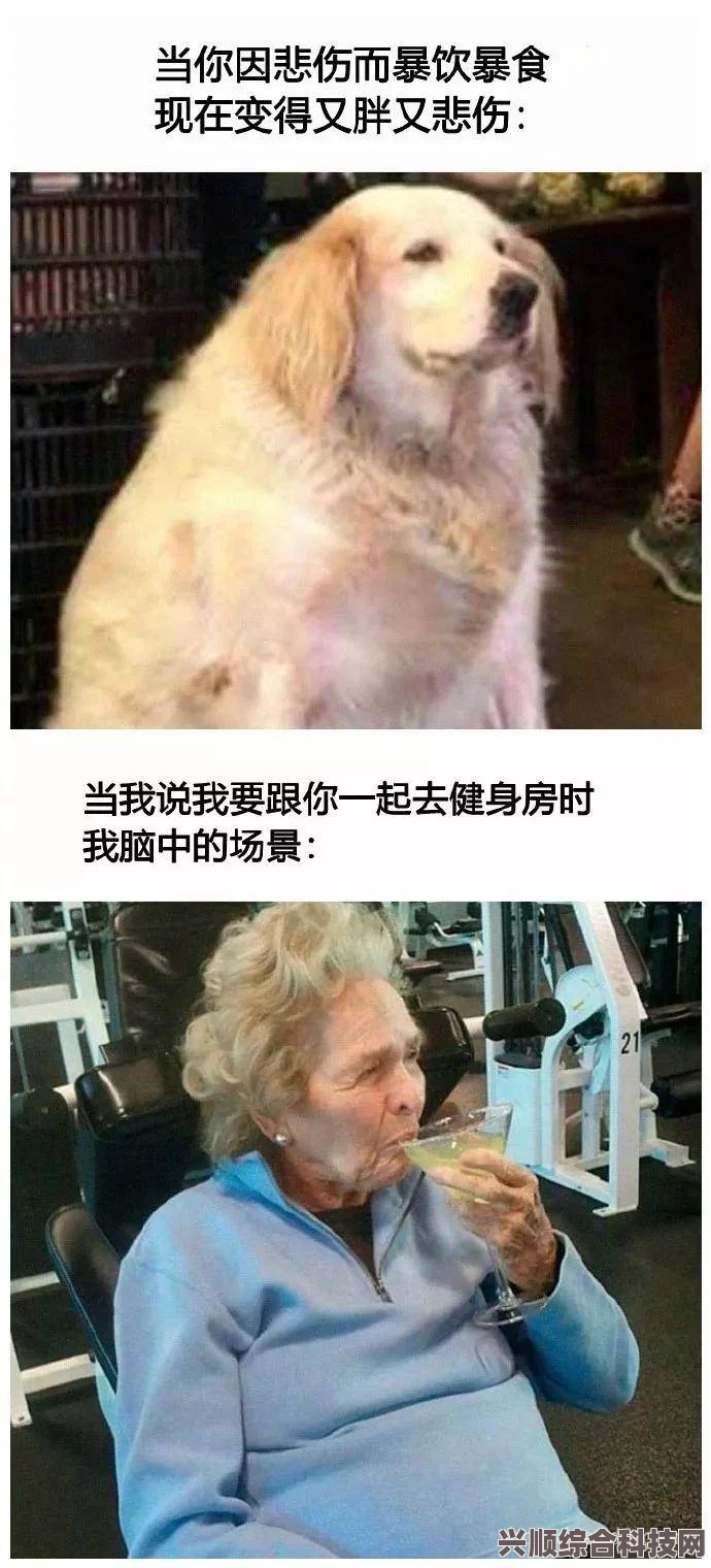 揭秘暂停减肥背后的含义与流行梗现象