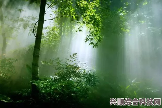 桃源深处有人家，萝眼金睛第二关攻略及端午粽香活动指南