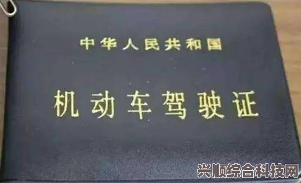 桃源深处有人家悟证一日攻略，深度体验与精彩瞬间