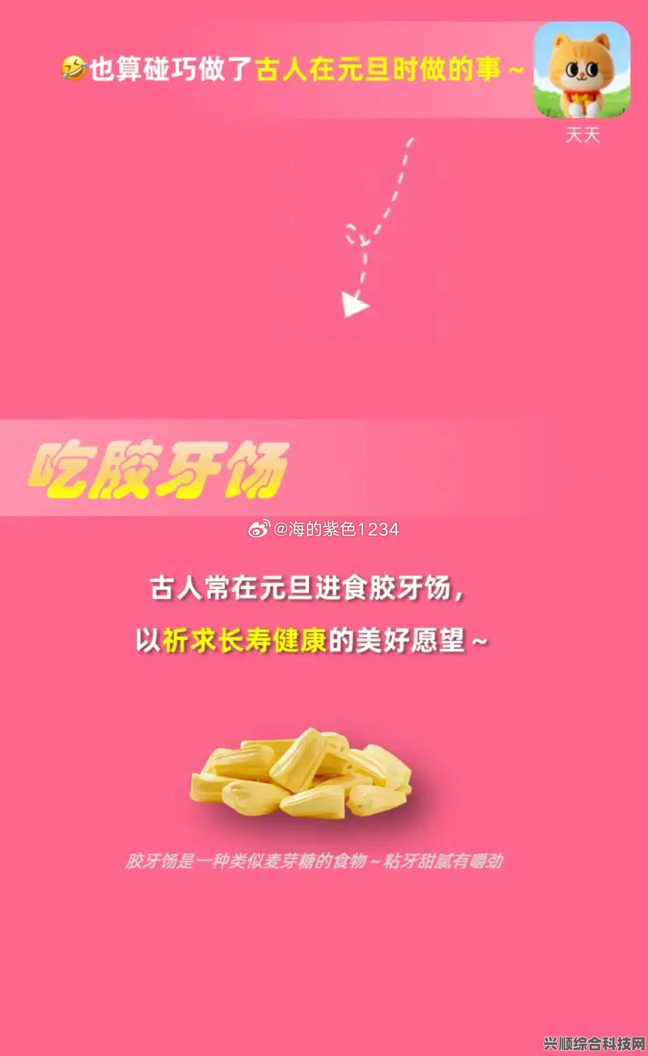淘宝每日一猜揭秘，牙疼背后的故事与特殊解读（6.22版）