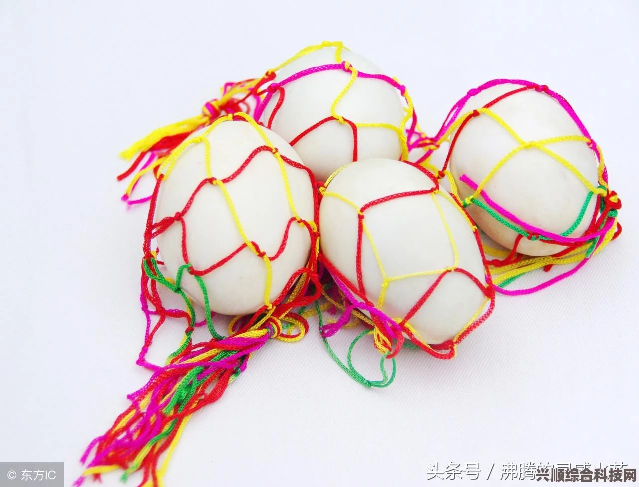 阴阳师端午答题第二天解析，探寻寒冬中最坚韧的花朵秘密