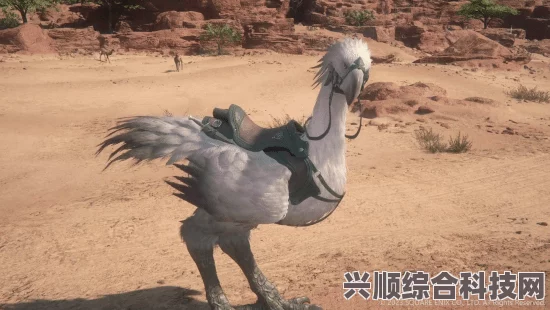 最终幻想16，陆行鸟获取攻略详解