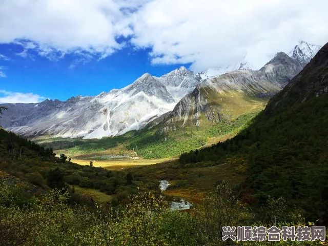 蔚蓝档案充值返利规则详解与碧蓝档案国服充值返利指南