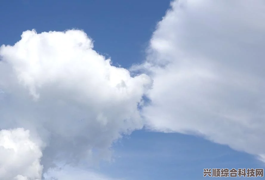 微博热搜榜深度解析，今日热点事件与排名一览（6月22日）