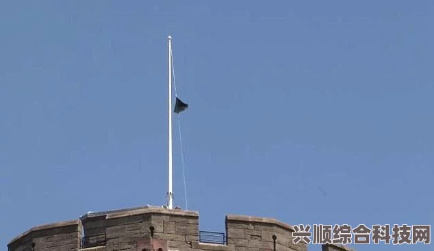淘宝每日一猜6.24，大赢家活动的多元参与路径解析