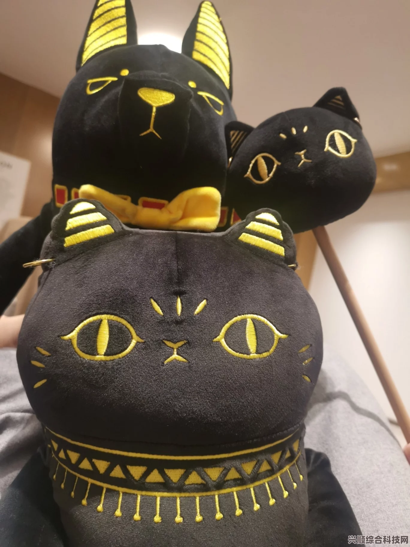 淘宝每日一猜答案解析，盖亚安德森猫的独特技能揭秘 6.25