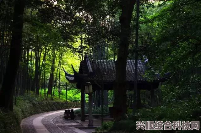 桃源深处的新版布局与漫步小景的魅力探索