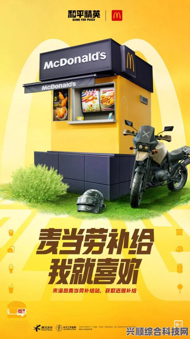 和平精英与麦当劳联动深度解析，乐园合作内容全景展示