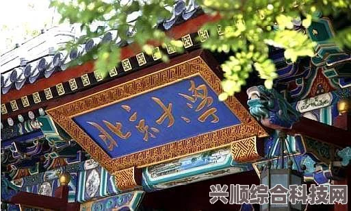 重磅揭秘，C9大学名单全解析——哪些顶尖学府荣登榜单？
