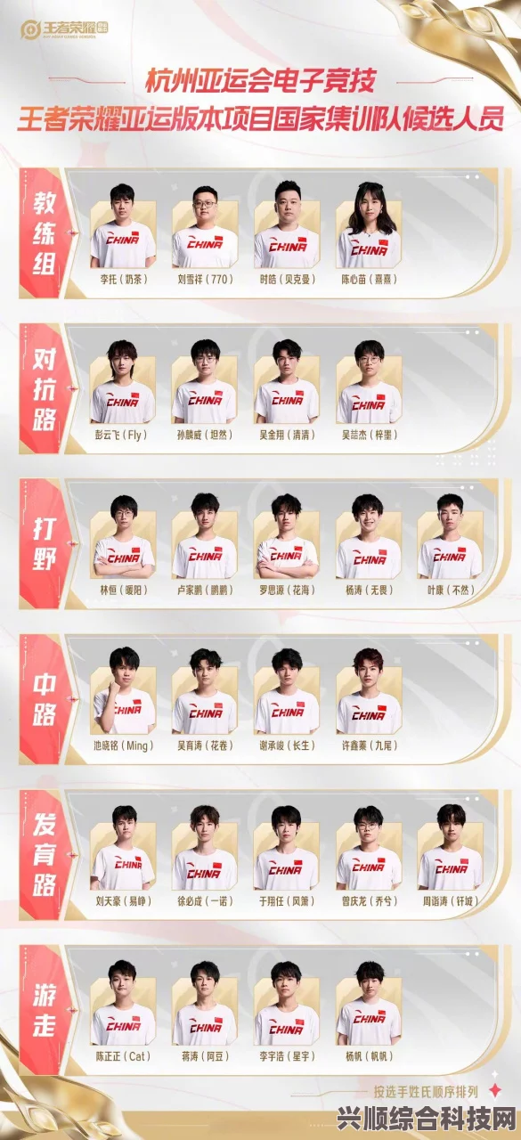 亚运会王者荣耀，最终名单揭晓