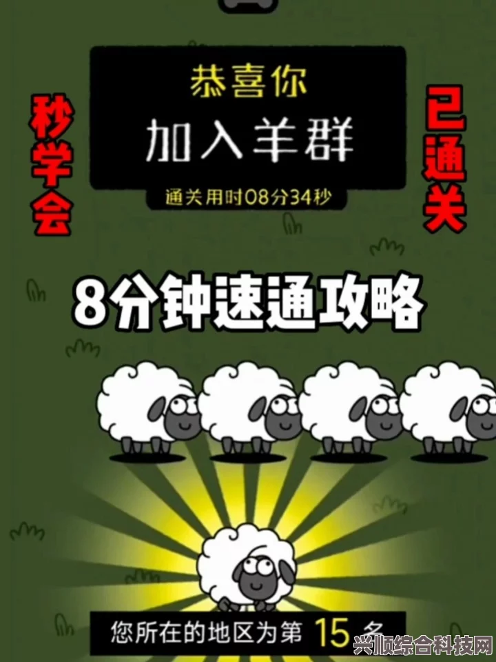 羊了个羊6月26日攻略揭秘，轻松过关的秘诀大揭秘