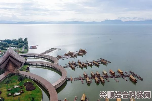 星空实体版指南，全面介绍与购买渠道解答