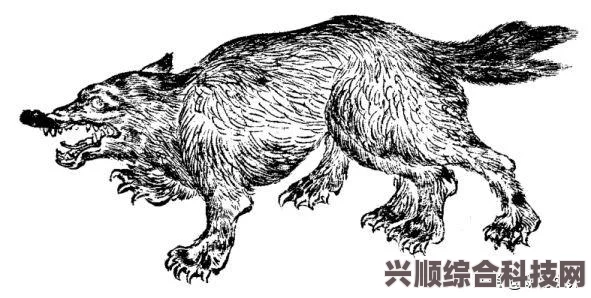 深入解析FGO中的曲亭马琴技能与宝具强度