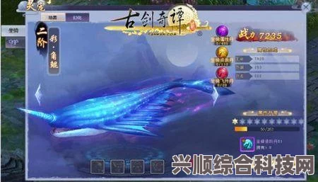 环行旅舍公测时间揭秘，最新预测与等待的旅程
