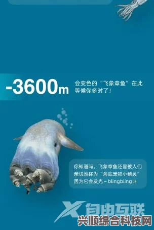 淘宝每日一猜答案揭秘，6月27日谜题—哪个动物可能目睹泰坦尼克号？