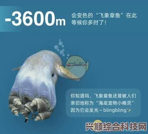 淘宝每日一猜揭秘，神秘动物与泰坦尼克号的奇妙邂逅——答案揭晓（6.27）