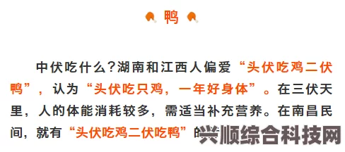 揭秘三伏天，今年三伏是否仍为40天？三伏时间详解与答疑