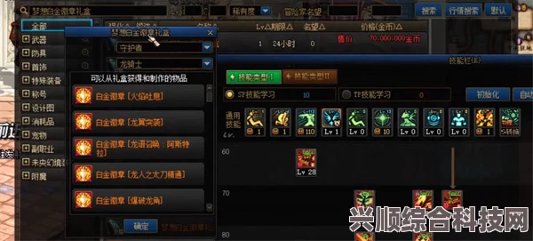 DNF全职业白金徽章选择指南，如何做出最佳决策