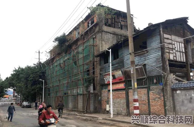 王者荣耀海月角色全方位深度解析与探讨